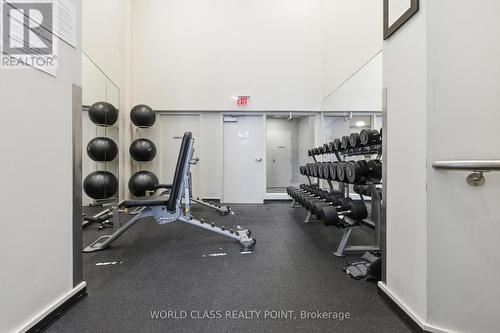 516 - 38 Dan Leckie Way, Toronto, ON - Indoor Photo Showing Gym Room