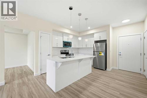 2119, 15 Skyview Point Crescent Ne, Calgary, AB - Indoor Photo Showing Kitchen With Stainless Steel Kitchen With Upgraded Kitchen