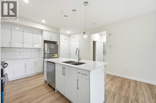 2119, 15 Skyview Point Crescent Ne, Calgary, AB - Indoor Photo Showing Kitchen With Stainless Steel Kitchen With Double Sink With Upgraded Kitchen