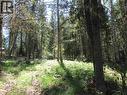 Lot 194 Bergstrom Road, Deka Lake / Sulphurous / Hathaway Lakes, BC 