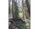 Lot 194 Bergstrom Road, Deka Lake / Sulphurous / Hathaway Lakes, BC 