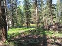 Lot 194 Bergstrom Road, Deka Lake / Sulphurous / Hathaway Lakes, BC 