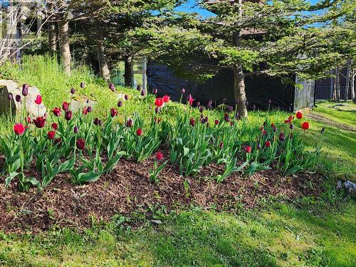 83 Main Road, South Dildo, NL - Outdoor
