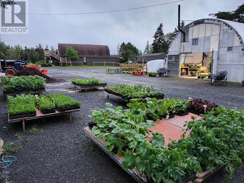 83 Main Road, South Dildo, NL - Outdoor