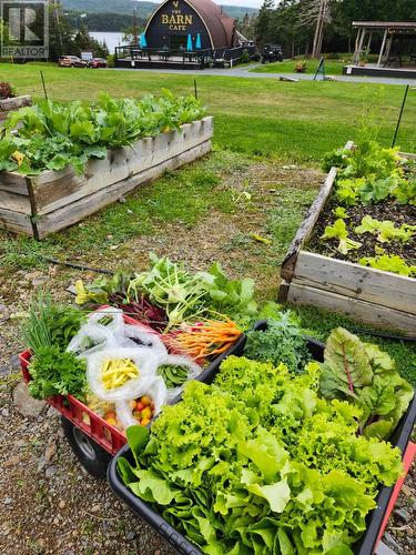 83 Main Road, South Dildo, NL 