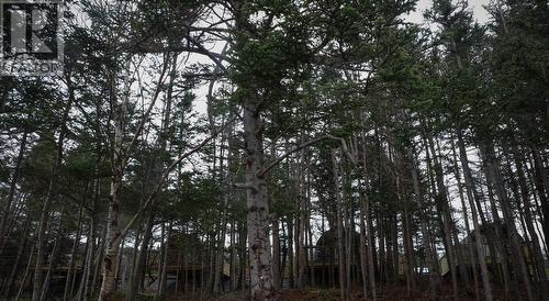 83 Main Road, South Dildo, NL 