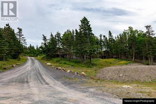 83 Main Road, South Dildo, NL 