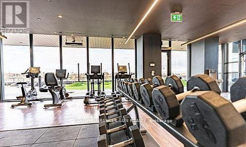 2009 - 39 Mary Street, Barrie, ON - Indoor Photo Showing Gym Room