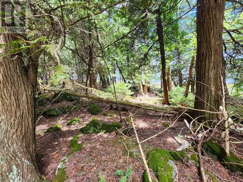 23 Rabbit, South Bruce Peninsula, ON 