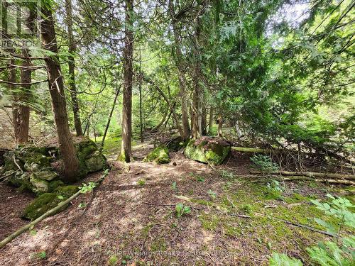 23 Rabbit, South Bruce Peninsula, ON 