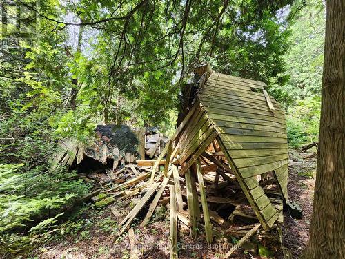 23 Rabbit, South Bruce Peninsula, ON 