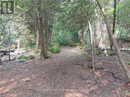 23 Rabbit, South Bruce Peninsula, ON 