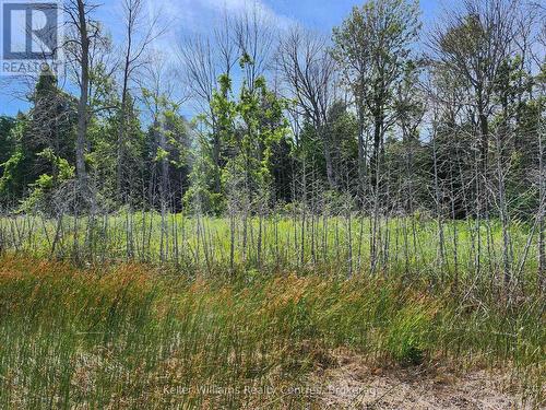 23 Rabbit, South Bruce Peninsula, ON 