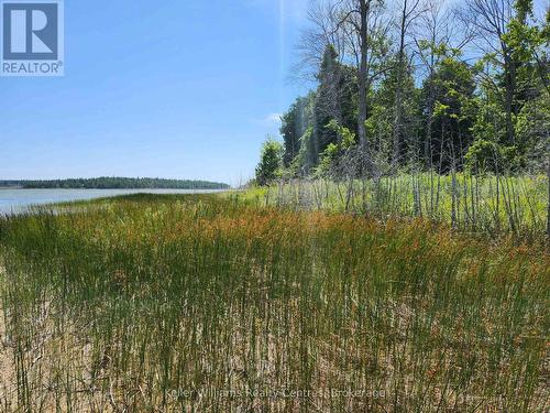23 Rabbit, South Bruce Peninsula, ON 