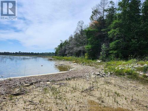 23 Rabbit, South Bruce Peninsula, ON 