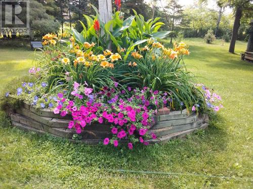 2377 Ramsay Con 7B Avenue S, Mississippi Mills, ON - Outdoor