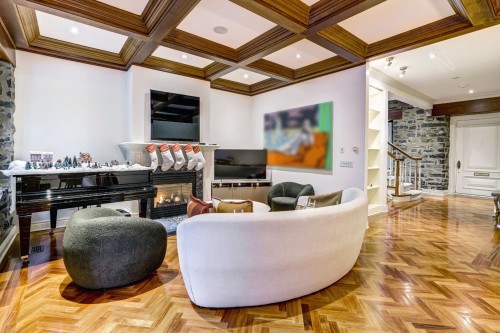 Salon - 3078 Rue Jean-Girard, Montréal (Ville-Marie), QC - Indoor With Fireplace