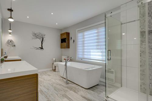 Ensuite bathroom - 3162 Ch. Du Lac-Des-Trois-Frères, Saint-Adolphe-D'Howard, QC - Indoor Photo Showing Bathroom