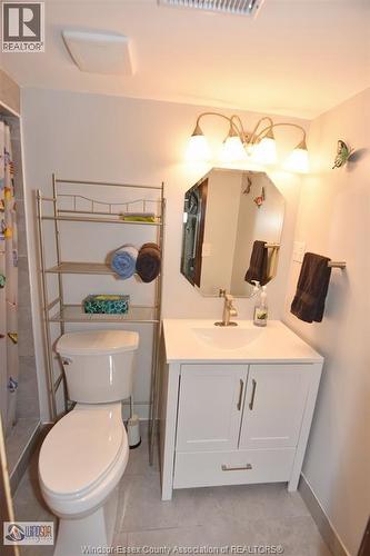 58 Texas Road, Amherstburg, ON - Indoor Photo Showing Bathroom
