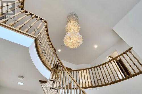 8 Orchid Court, Toronto, ON - Indoor Photo Showing Other Room