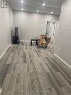 Basement living room - 