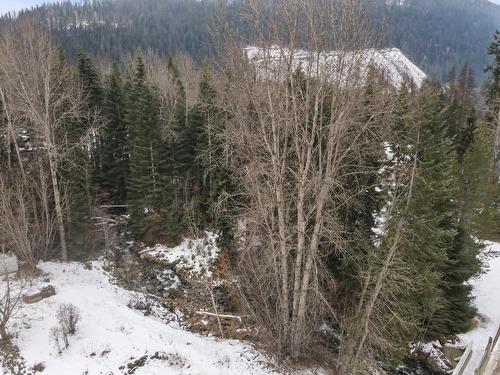Kitchener Road, Kitchener, BC - Outdoor With View
