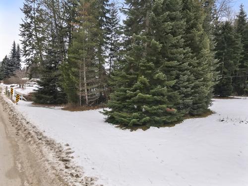 Kitchener Road, Kitchener, BC - Outdoor With View