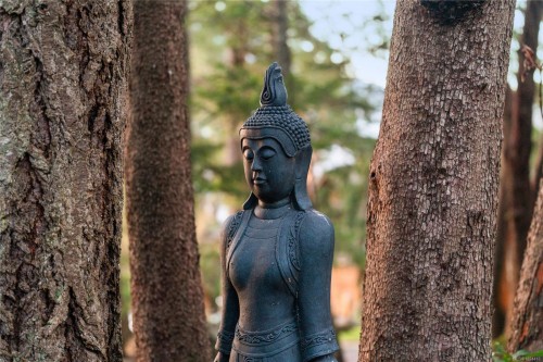 7178 Mark Lane, Central Saanich, BC 