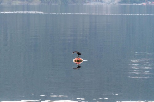 7178 Mark Lane, Central Saanich, BC 