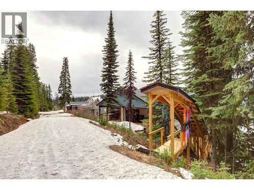 9834 Cathedral Drive, Silver Star, BC - Outdoor