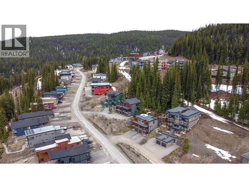 9834 Cathedral Drive, Silver Star, BC - Outdoor With View