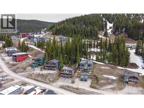 9834 Cathedral Drive, Silver Star, BC - Outdoor With View