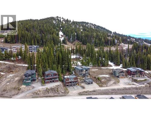 9834 Cathedral Drive, Silver Star, BC - Outdoor With View