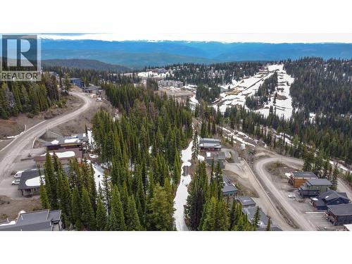 9834 Cathedral Drive, Silver Star, BC - Outdoor With View