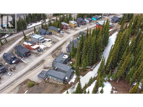 9834 Cathedral Drive, Silver Star, BC - Outdoor With View