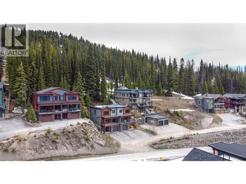 9834 Cathedral Drive, Silver Star, BC - Outdoor