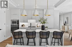 NEW Visual Comfort & Co pendant lighting - 