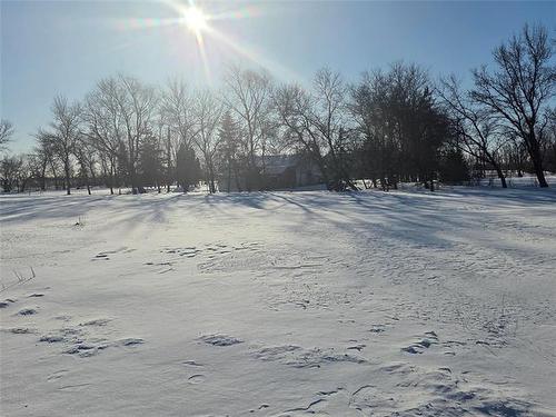 1197 Desjardins Crt, Ile Des Chenes, MB 