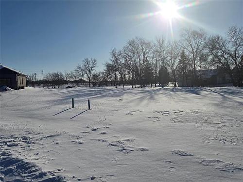 1197 Desjardins Crt, Ile Des Chenes, MB 