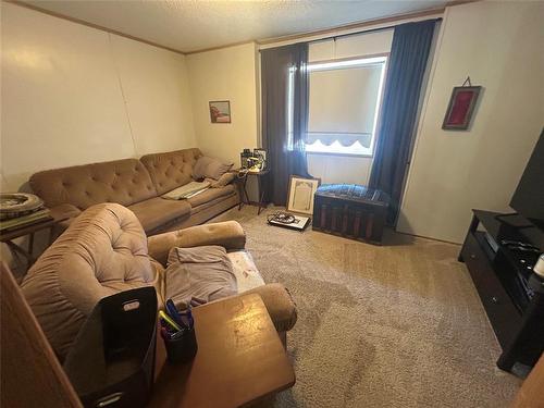 23 Shay Crescent, Winnipeg, MB - Indoor Photo Showing Living Room