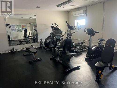 208 - 1660 Bloor Street, Mississauga, ON - Indoor Photo Showing Gym Room