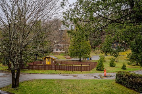 Piscine - 267 Ch. Des Bois-Blancs, Piedmont, QC - Outdoor