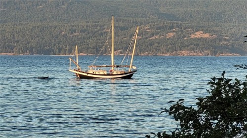 15 Spring Bay Rd, Lasqueti Island, BC 