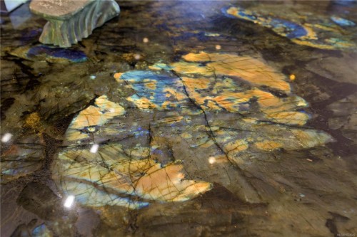 626 Monterey Ave, Oak Bay, BC 