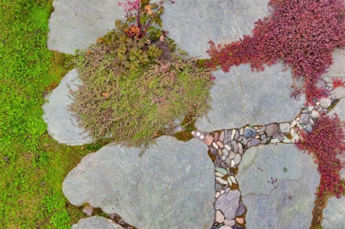 626 Monterey Ave, Oak Bay, BC 