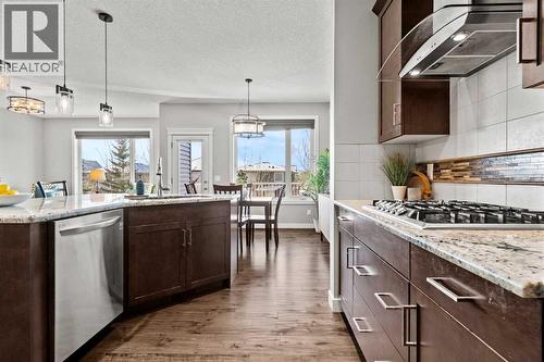 Pot and pan drawers - 69 Ravenskirk Close Se, Airdrie, AB - Indoor Photo Showing Kitchen With Upgraded Kitchen