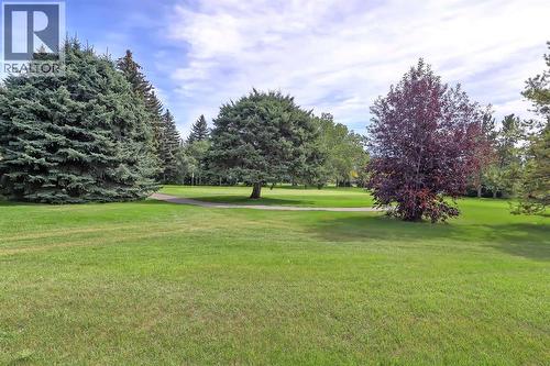 Community Photo - 4507 17 Street Sw, Calgary, AB - Outdoor