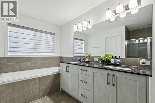 1124 Chinook Gate Bay Sw, Airdrie, AB - Indoor Photo Showing Bathroom