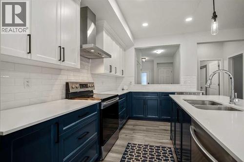 223 Savanna Way Ne, Calgary, AB - Indoor Photo Showing Kitchen With Double Sink With Upgraded Kitchen