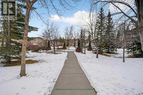 Green space in the middle of complex - 206, 2000 Citadel Meadow Point Nw, Calgary, AB - Outdoor With View